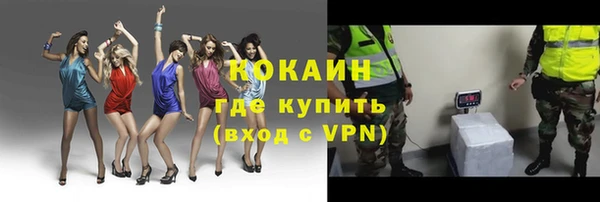 дмт Арсеньев